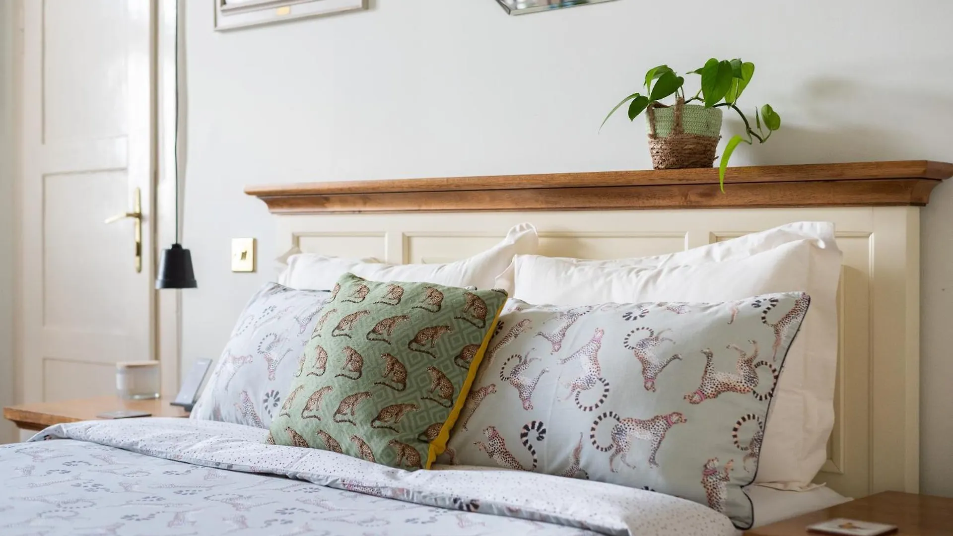 Design Guest Rooms in Zizkov Prague 3